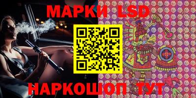шишки Новокубанск