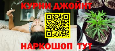 ALPHA PVP Новозыбков