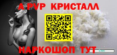 шишки Новокубанск