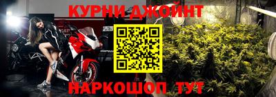 шишки Новокубанск