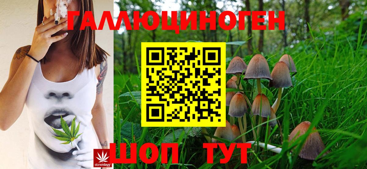 Псилоцибиновые грибы Magic Shrooms  наркота  Татарск  Вход с VPN  Галлюциногенные грибы GOLDEN TEACHER 